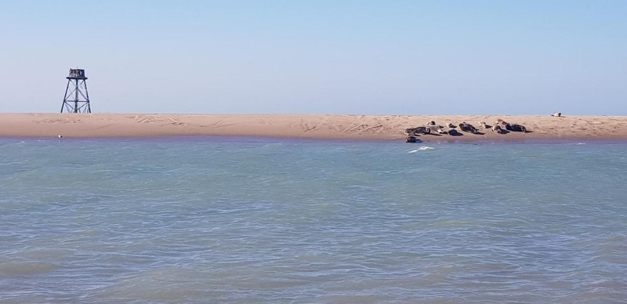 Bed and Breakfast L Hyppo Camp' Oye-Plage Esterno foto