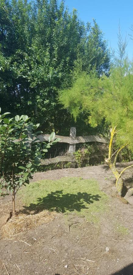 Bed and Breakfast L Hyppo Camp' Oye-Plage Esterno foto